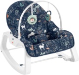 Fisher-Price Infant-to-Toddler Rocker (887961985955)