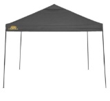 Golden Bear Coronado 10'x10' Straight-Leg Canopy