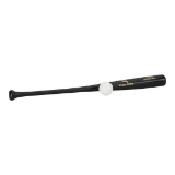 Easton Pro Stix Training Baseball Bat and Ball Set, Black - $8.99 MSRP