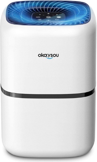 Okaysou AirMic4S Air Purifier With H13 True HEPA filter For Home, Remove Pet Hair - $89.97 MSRP