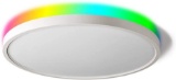 Taloya Alexa Ceiling Light Smart
