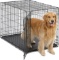 iCrate 1542 Single Door Folding Dog Crate