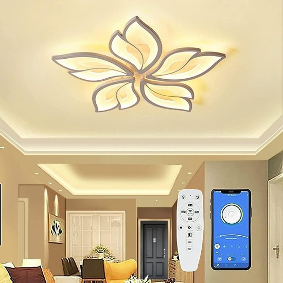 Yuanfenghua Modern LED Ceiling Light - $109.99 MSRP