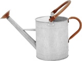 HORTICAN 1 Gallon Watering Can Decorative Farmhouse Watering Can with Removable Spout - $39.36 MSRP