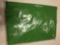 Backdrop Cotton Green 10 x 10 feet Chroma Key $45.99