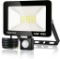 bapro 10W LED Outdoor Spotlight with Motion Sensor, White Light (6000K), Cool - $28.48