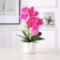 ENCOFT Artificial Flower Orchid - $24.99