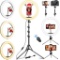 Vevice Ring Light with Tripod Stand and Phone Holder Tall, 12.6 inch (M33E) - $33.32 MSRP