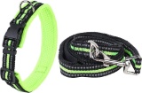EASY JOY Pattepoint Dog Collar and Lead Set - Fluorescent Green S