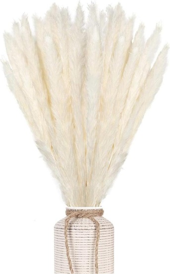 AIOR Pack of 30 Natural Dried Pampas Grass, 60 cm Pampas Grass Decor (Cream White)