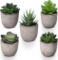Redriver Artificial Succulent Plants with Pot