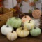 Koogel 9 Pieces Colorful Artificial Pumpkins Set