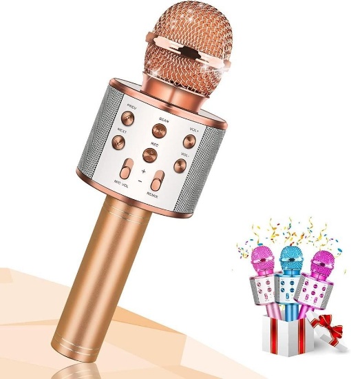 Karaoke Microphone Toy for Girls and Boys