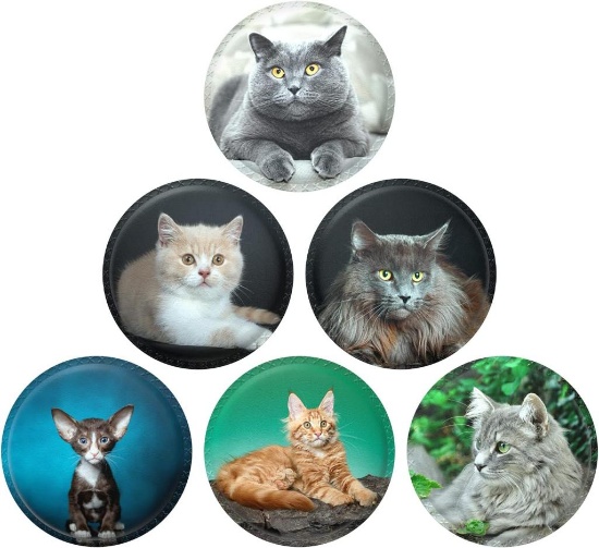ANEWSIR 6 Pcs Round Modern Set of Velcro Stickers