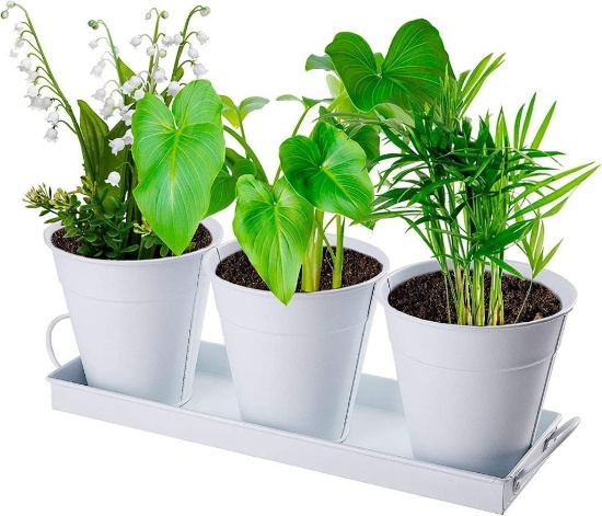 Danolt Mini Metal Flower Pot Set of 3