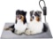 Toozey Pet Heating Pad, 6 Adjustable Temperature Dog Cat Heating Pad with Timer, $65.99 MSRP