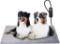 Pet Heating Pad, 6 Adjustable Temperature Dog Cat Heating Pad with Timer, $65.99 MSRP