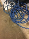 Hose