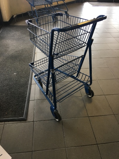 Small Shopping Carts