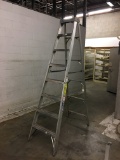 8' Ladder