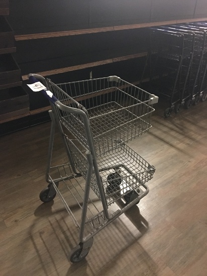Small Technibilt shopping carts