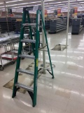 6' Ladder