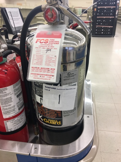 Chemical fire extinguisher