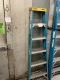 6' Fiberglass Ladder