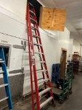 12' Werner Ladder