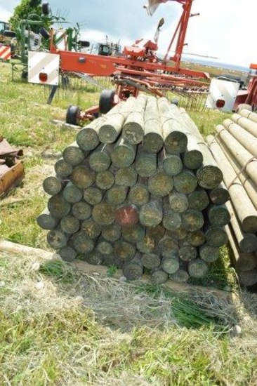 60-  5" x 8' pressure treated fence posts