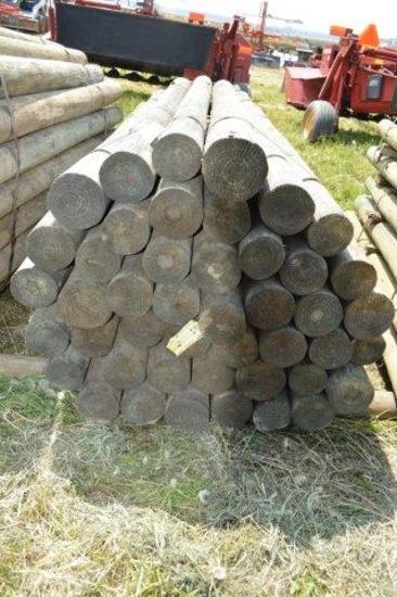 45-  5"-6" x 8' pressure treated fence posts
