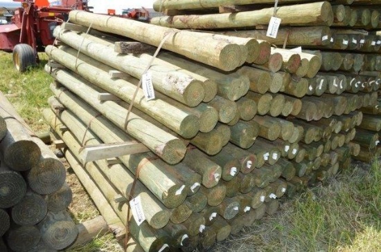 36-  4"-5" x 8' pressure treated fence posts