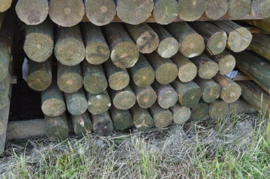 36-  4"-5"x 8' pressure treated fence posts