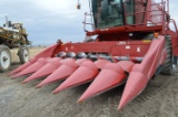 CIH 2206 6 row corn head, poly snouts, hyd deck plates