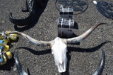 Long horns w/ skull