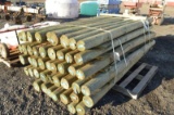 treated fence posts