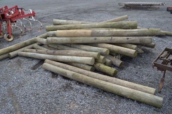 50- 6.5' fence post