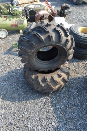 2- 14.9-24 tires on rims