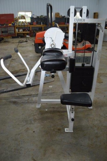 Cybex Eagle Fitness system arm curl