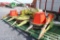 Claus RU450 6 row corn head