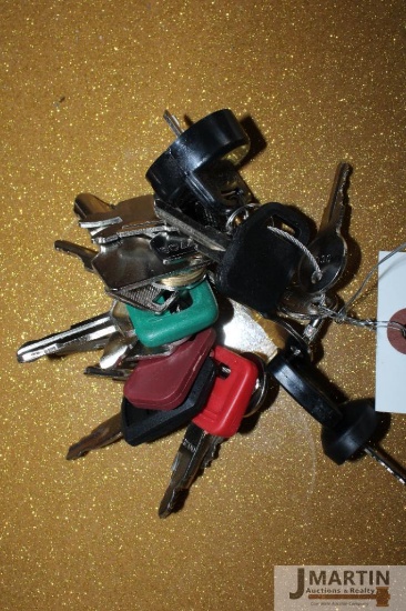Heavy equipment key set (24 keys)