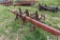 IH 4 row 3pt cultivator
