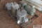 2-General Electric 20hp 3 phase motor