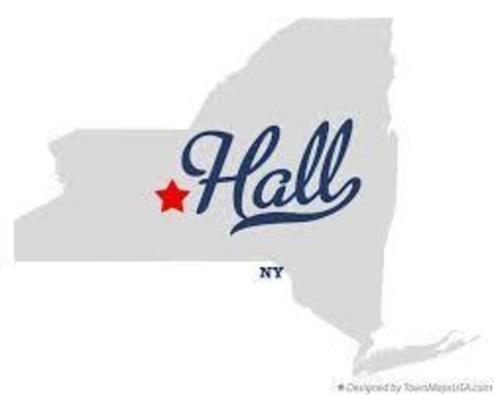 All items are located in Hall NY