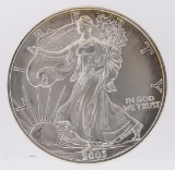 2003 American Silver Eagle Dollar Coin
