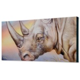 White Rhino by Katon, Martin