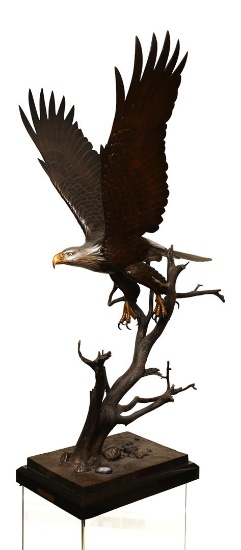 Bronze Eagle Statue Titled The Awakening by Steve Parks