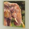 Elephant by Fishwick, Stephen