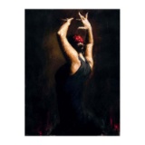 Flamenco IV by Perez, Fabian