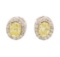 1 ctw Diamond Earrings - 14KT Yellow And White Gold